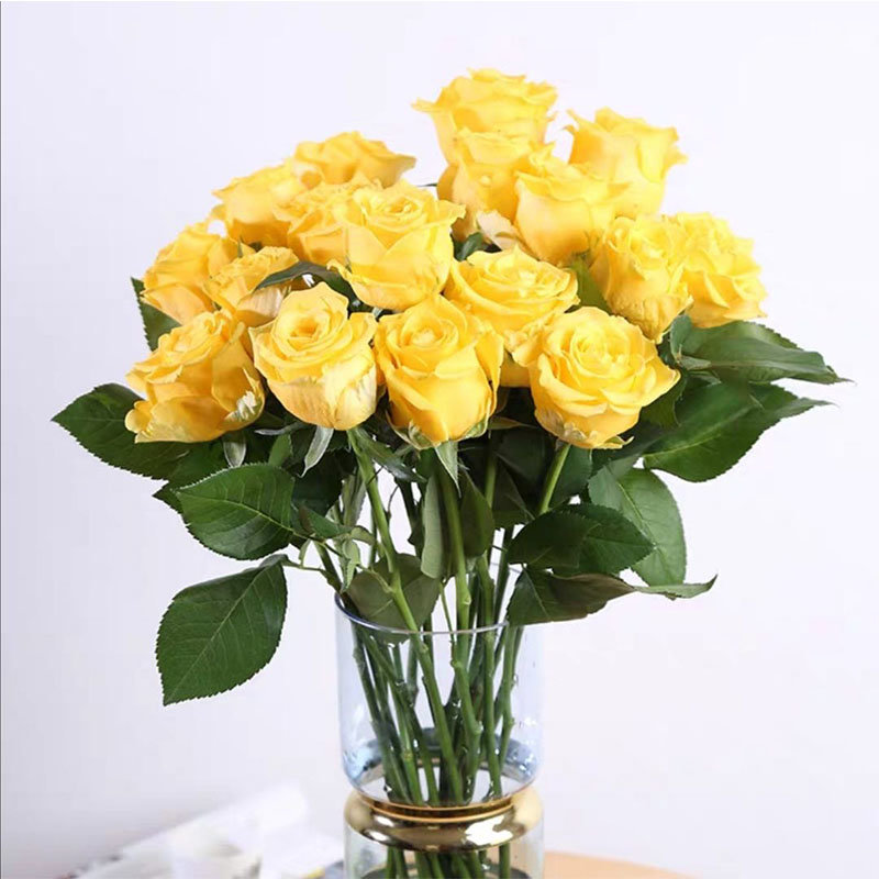 鲜花速递金枝玉叶-玫瑰(黄色 18 2枝)返回商品页 >