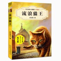中外动物小说精品:升级版?流浪猫王