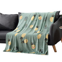 凯诗风尚小毯子单人学生宿舍午睡毯法兰绒毛毯办公室可爱印花空调午睡毯子居家沙发盖毯(热带菠萝)