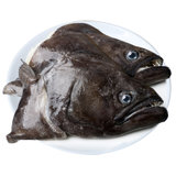 鲽鱼头比目鱼深海鸦片鱼头格陵兰超大碟鱼头新鲜冷冻蝶鱼商用批发