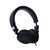 ULDUM U502手机耳机头戴式立体声带线控麦克风按键通用耳塞 (黑色)