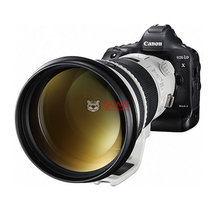 佳能（Canon）EOS-1D X Mark II全画幅单反相机（EF 400mm f/2.8L IS） 1DX2套机