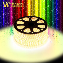 汉斯威诺LED灯带灯条5050灯珠 吊顶装饰灯 高亮贴片背景墙灯HS410001(5050蓝色(9W 1米))