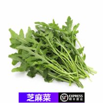【顺丰】新鲜芝麻菜 火箭菜 西餐蔬菜 沙拉菜 生菜(250g)