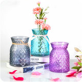 敞口菠萝客厅透明彩色玻璃花瓶E048美式摆件插花家居装饰花瓶lq7000(紫色)