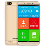长虹(CHANGHONG)C01 全网通4G 智能老人手机 双卡双待老年手机备用手机(金色 中国大陆)