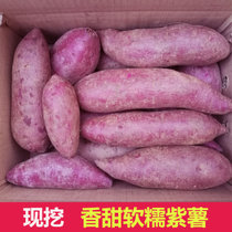 广西现挖带泥新鲜紫薯5斤小珍珠红薯新鲜应季番薯 宝宝辅食10(2500g+中果+大果)
