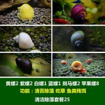 马来螺苹果螺观赏螺活体除藻螺鱼缸清洁吃鱼屎工具水族淡水螺套餐(浅绿色 默认版本)