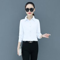 2020秋季蓝色衬衫女长袖修身显瘦打底衫女上衣时尚职业衬衣女(白色 3XL)