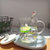 韩版猫咪玻璃杯景观水杯创意可爱杯子女学生早餐牛奶果汁杯带盖子(珊瑚和鱼带盖送爱心勺+恒温垫 默认版本)
