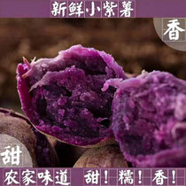 沙地紫薯精选紫薯软糯可口农家自种紫薯(3斤)