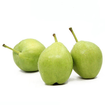 汇佰鲜早酥梨2500g