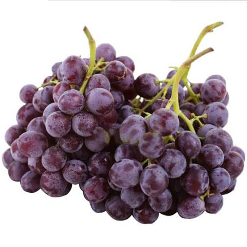 汇佰鲜玫瑰香葡萄