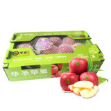 京觅洛川红富士苹果12个一级铂金果 2.1kg 单果约160-240g 中秋礼品 新生鲜水果