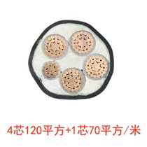 率龙电线电缆SL108国标电缆电线YJV4*120+1*70（单位：米）(默认)
