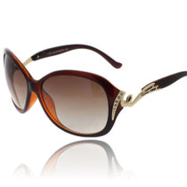 卡莎度(CASATO) 太阳镜时尚个性大框潮 防紫外线太阳镜 女款墨镜3154(棕色)