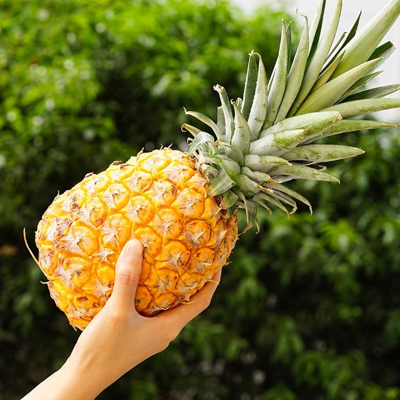 17岁的甜广东湛江徐闻菠萝带箱3斤装小果香甜可口