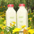 Avalon 1L*2瓶 全脂牛奶 鲜牛奶 加拿大进口牛奶 2瓶体验卡(自定义 自定义)