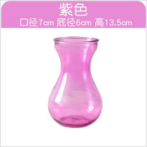 欧式水培植物玻璃花瓶A671办公室简约彩色绿萝植物瓶摆件lq(紫色)