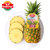 佳农菲律宾菠萝1个单果重1.3-1.5kg 精选巨无霸大果 单果重1.3-1.5kg 生鲜菠萝水果