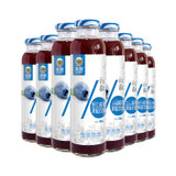 永富 蓝莓饮料蓝莓汁300ml*8瓶大兴安岭蓝莓果汁休闲果汁饮品