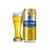 青岛崂山啤酒 崂友记（500ml*12听）青岛生产 官方直营 全国包邮(白)