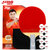 红双喜六星乒乓球拍直拍双面反胶附10只乒乓球+拍套R6006 国美超市甄选