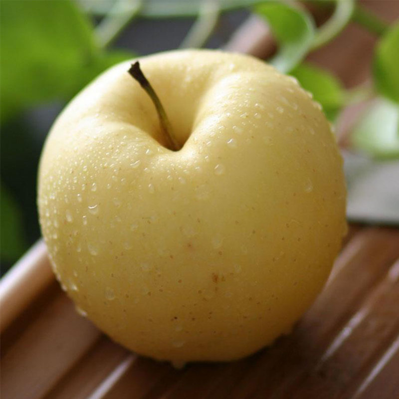 杞农优食山东烟台黄金帅苹果约15kg装单果7075mm果型端庄清香绵甜