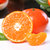 莎斯塔金红颜柑橘10斤新鲜水果红皮蜜橘桔子当季四川特产整箱包邮(10斤 大果)