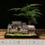 赤楠盆景植物客厅桌面小盆栽微景观造景绿植办公桌老房子模型摆件