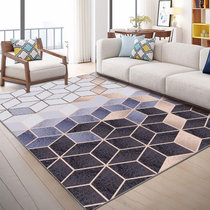 北欧客厅地毯沙发茶几地垫子简约现代卧室床边地垫可爱房间家用(ZZR-18)