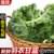 【顺丰】新鲜羽衣甘蓝 嫩叶甘兰轻食榨汁kale沙拉食材蔬菜(2斤)