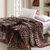 越发家纺 活性印花拉舍尔毛毯  冬季加厚毯子 150*200cm/2.5k(274豹圈)
