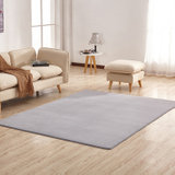珊瑚绒图案纯色地毯适合客厅卧室床边(珊瑚绒灰色 50cmx80cm)