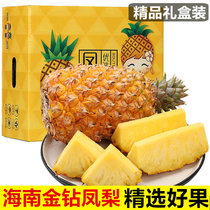 【爆甜多汁】海南金钻凤梨新鲜应季水果现摘现发
