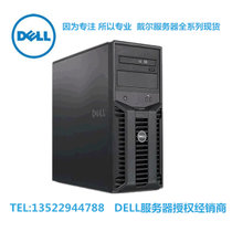 戴尔DELL塔式服务器T110服务器 E3-1220v2 4GB 500G DVD