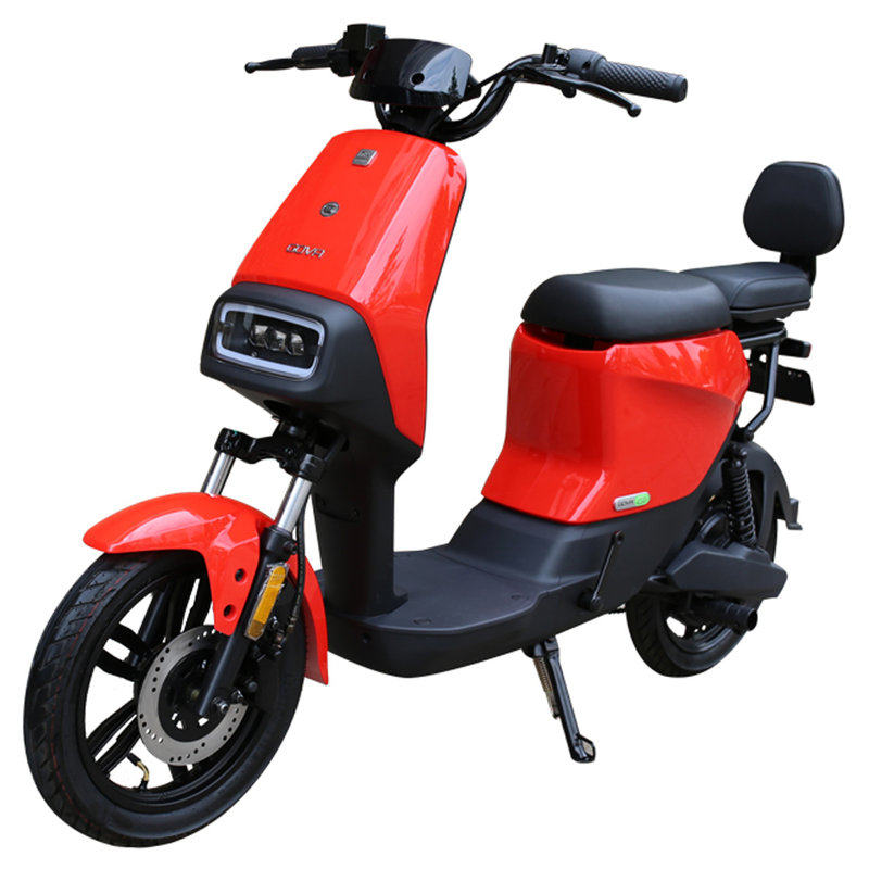 小牛电动锂电48v16a体感车