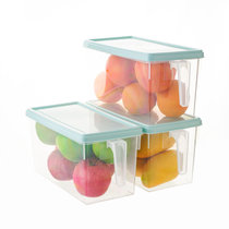 乐丽诗透明密封保鲜储物罐盒 食品级塑料分装带盖水果五谷杂粮收纳盒(3个装 默认)