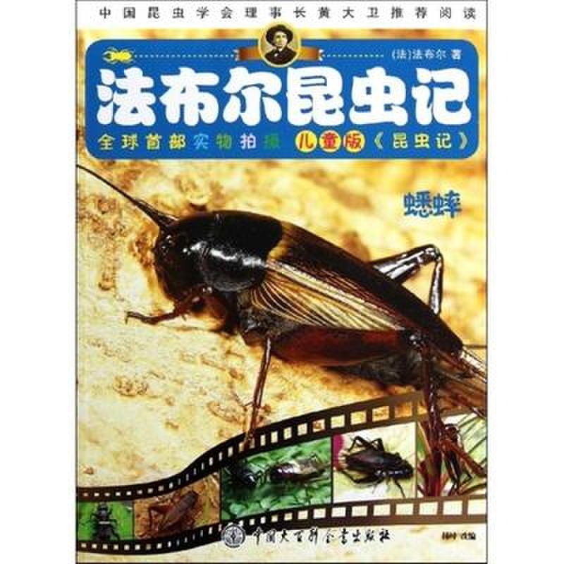 法布尔昆虫记.蟋蟀