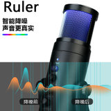 Ruler900Pro-多功能电脑麦克风(蓝色 新品)