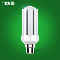 创华星 LED灯泡暖白E14小大螺口E27家用照明明亮节能LED小白4.5W(正白光)