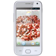金立（GiONEE）GN305手机（星光银）WCDMA/GSM 双卡双待，Android 4.0系统，双核CPU、4英寸触控屏