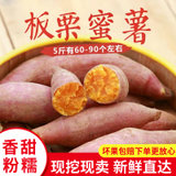 新鲜红薯地瓜沙地红蜜薯板栗薯糖心手指红薯农家香甜山芋番薯地瓜(10斤+中果+大果)