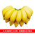 广西小米蕉 现摘小香蕉 苹果蕉新鲜水果(净重约9斤装)