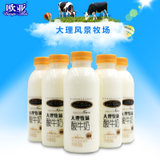 欧亚牛奶大理牧场低温酸奶原味酸奶酸牛奶500g*6瓶整箱早餐包邮(自定义 自定义)