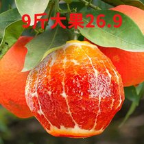 【塔罗科血橙】塔罗科血橙红肉脐橙红橙  秋冬当季新鲜橙子 补充维C(3斤小果 特惠尝鲜)