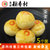正宗三禾北京稻香村特产网红蛋黄酥豆沙咸鸭蛋黄传统传统糕点心