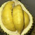 榴莲带壳整个新鲜水果(AAA品质)