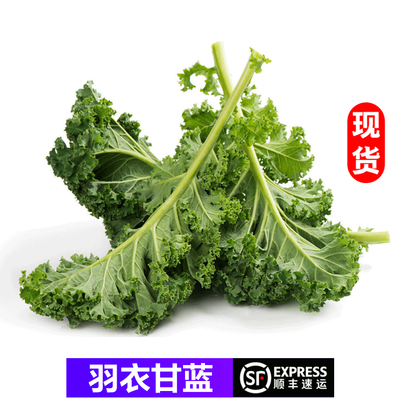 【顺丰】羽衣甘蓝新鲜蔬菜食用榨汁烤片健身轻食 西餐沙拉蔬菜 250g(250g)