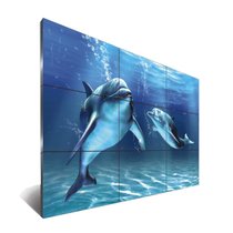 立诚  55英寸1.7mm高清液晶拼接屏  安防监控   视频会议拼接显示大屏幕(默认 默认)